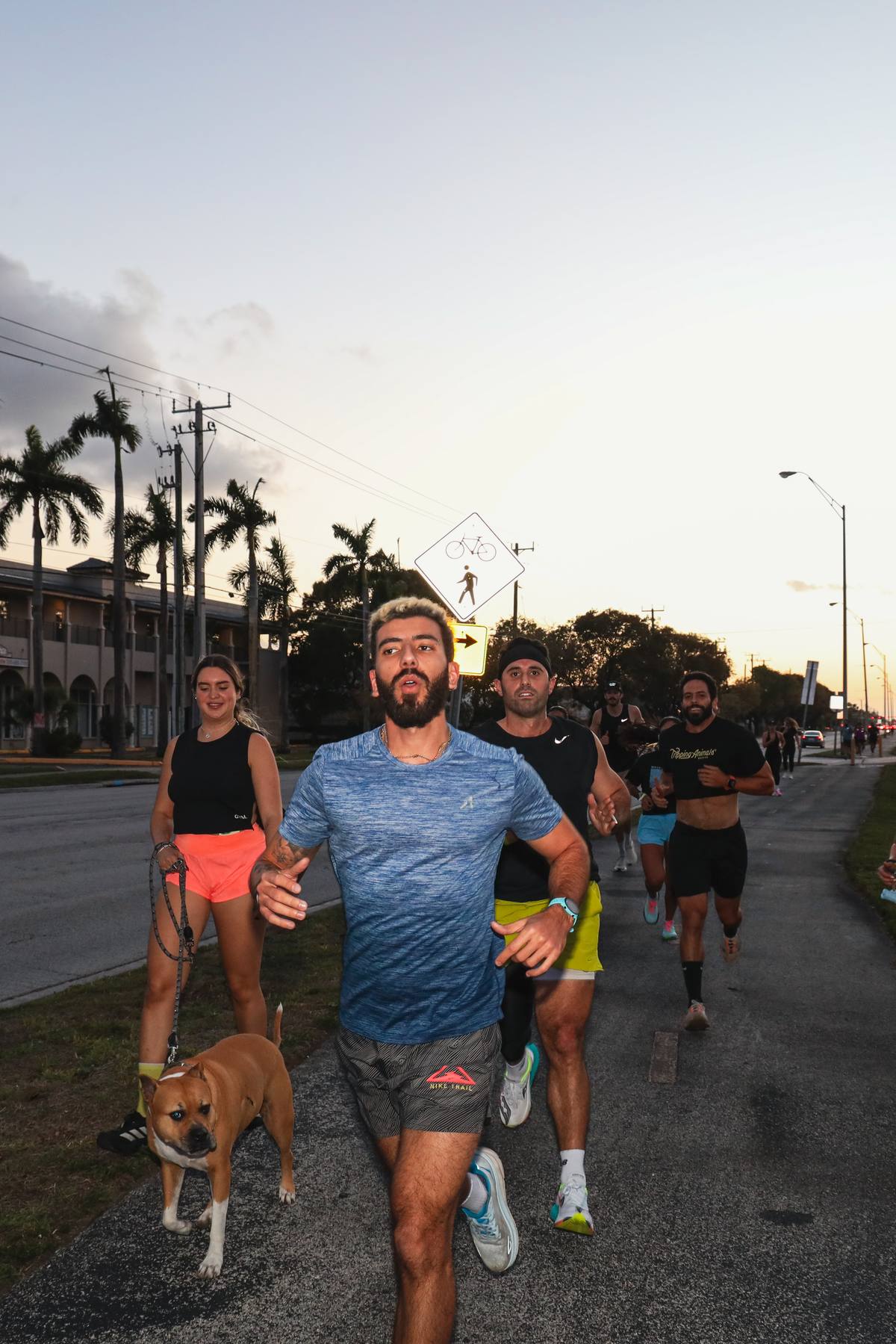 A pack of runners and a dog on the route